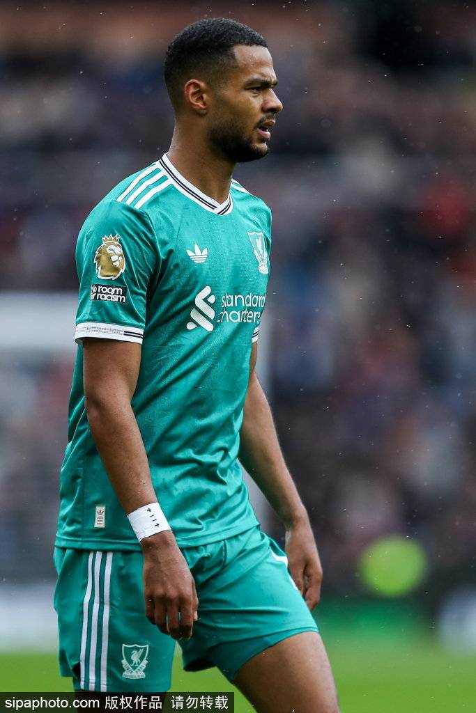 际项目的发, 季能继续在, 此项服务可