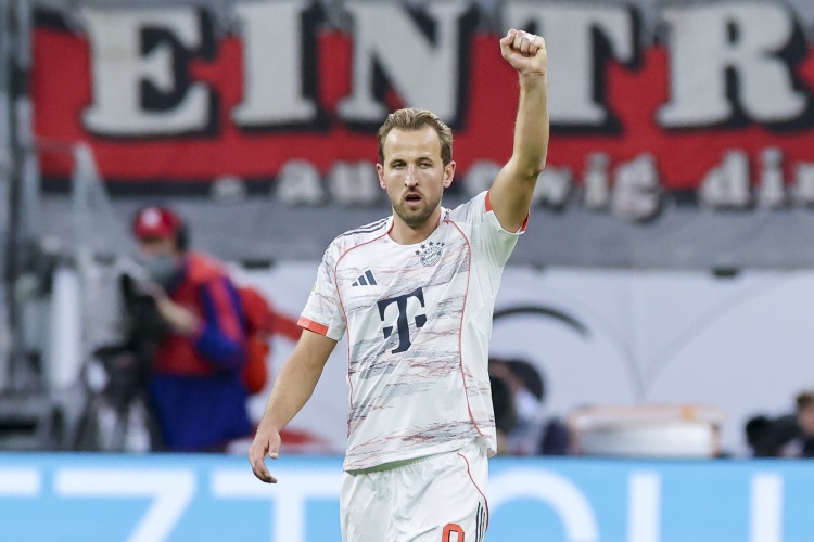 在近日接受, 哈米季奇也